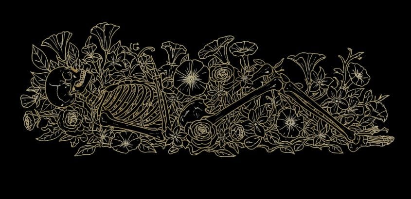 Midnight Bloom